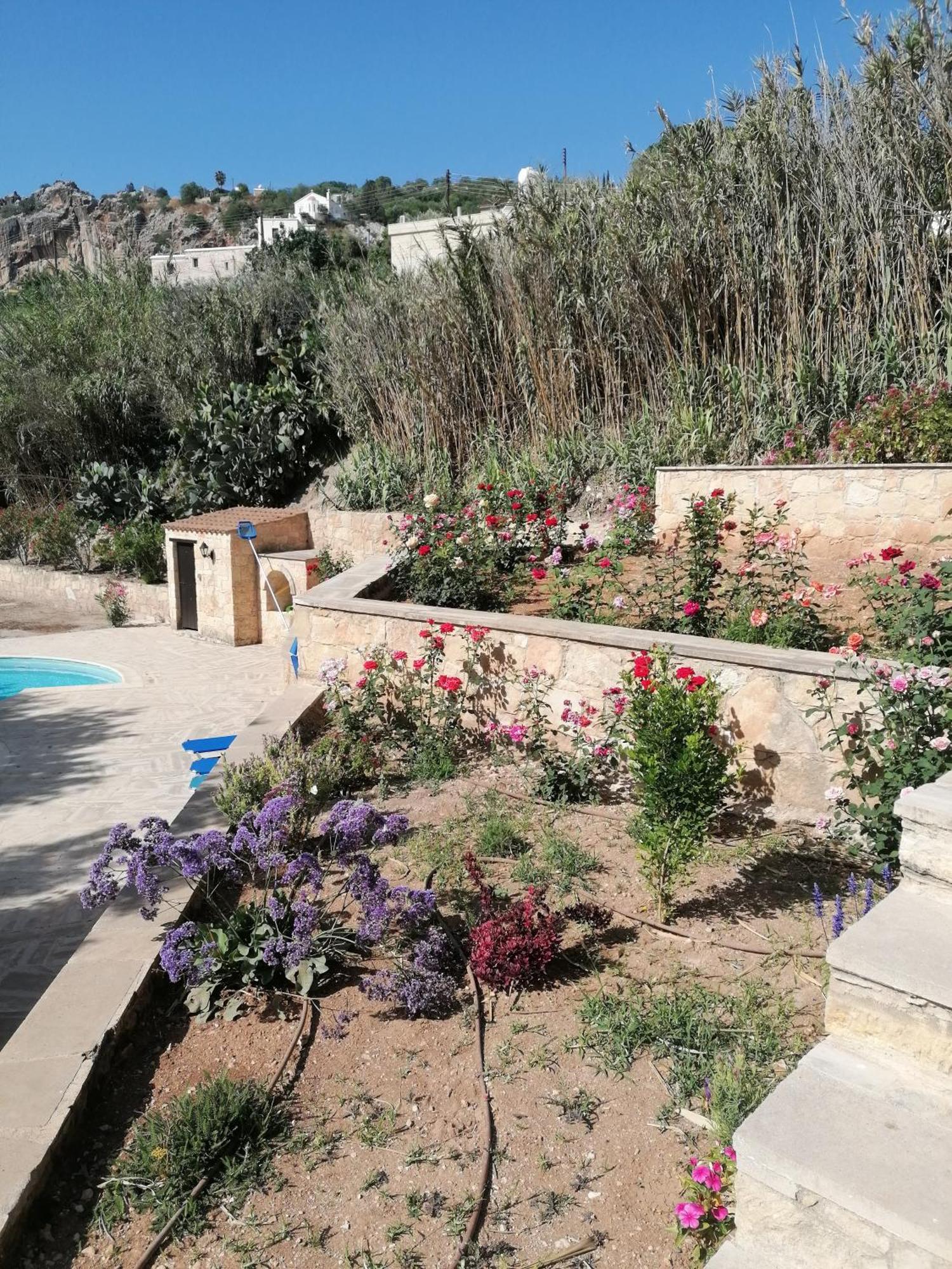 Sermar Villa Episkopi  Extérieur photo